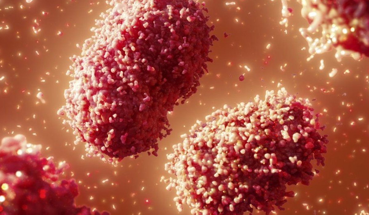 Monkeypox Cases detected in three more countries for first time